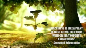 Happiness quote